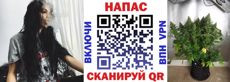 Галлюциногенные грибы Тобольск