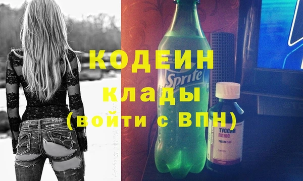 ешки Бородино
