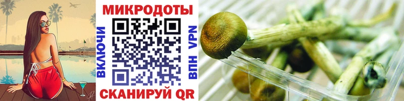 Галлюциногенные грибы Psilocybe  Тобольск 